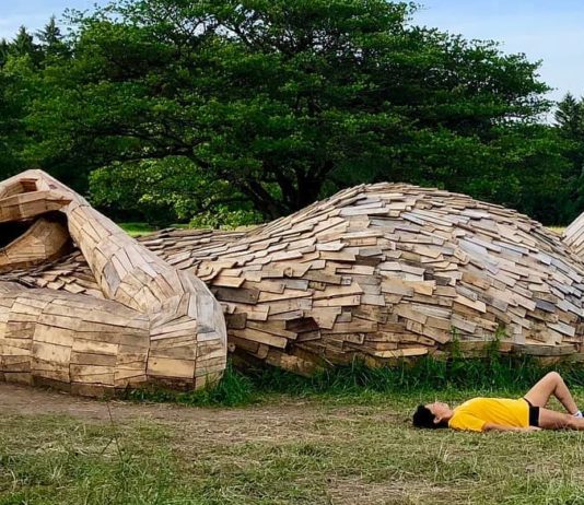 Artist Decorates a Danish Forest with Wooden Giants