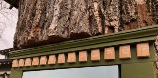 Woman Took Her ‘Little Free Library’ Design to the Next Level