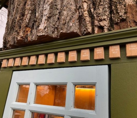 Woman Took Her ‘Little Free Library’ Design to the Next Level