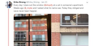Woman Keeps Seeing a Cat From Her Window, Asks it’s Name By Using Post-its