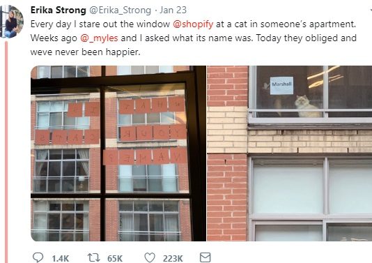 Woman Keeps Seeing a Cat From Her Window, Asks it’s Name By Using Post-its