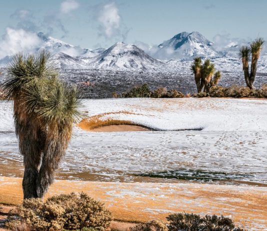 Arizona is Covered in Rare Snow, Looking Magnificent