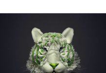 Flower Petals and Stems Transformed into Animals and Insects