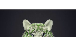 Flower Petals and Stems Transformed into Animals and Insects