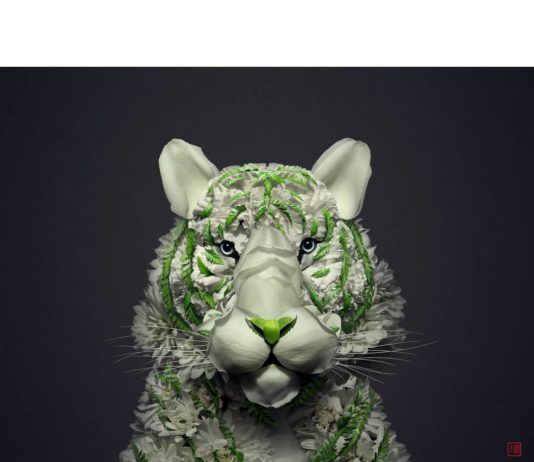 Flower Petals and Stems Transformed into Animals and Insects