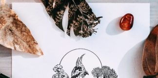 Artist Draws Beautiful Images Of Birds