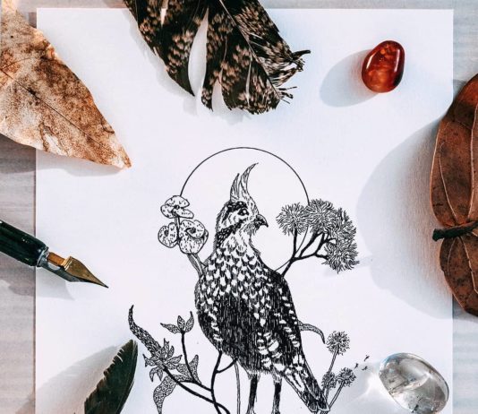Artist Draws Beautiful Images Of Birds