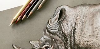 Artist Creates Illustrations That Will Make You Think