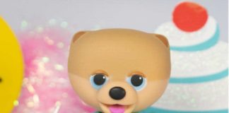 This Teddy Bear-Like Dog is Now an Entrepreneur