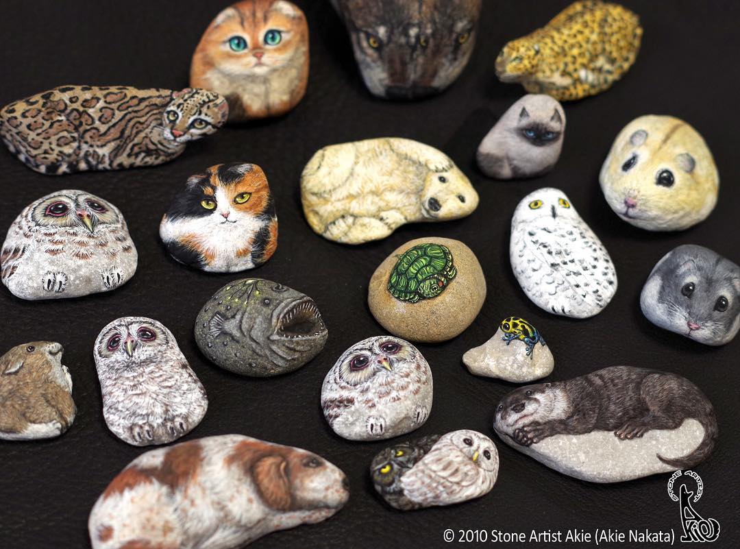 How To Paint Animals On Stones At Jeremy Fenner Blog 1 57