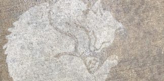 These “Rainworks” Are the Newest Trend in Art