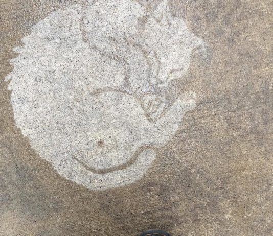 These “Rainworks” Are the Newest Trend in Art