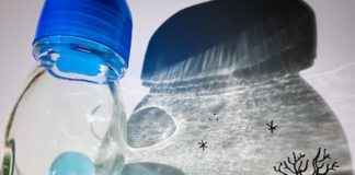 Artist Reimagines Shadows of Ordinary Objects as Fun Illustrations