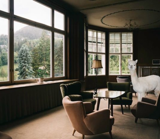 The Cure to Your Monday Blues? An Alpaca Calender