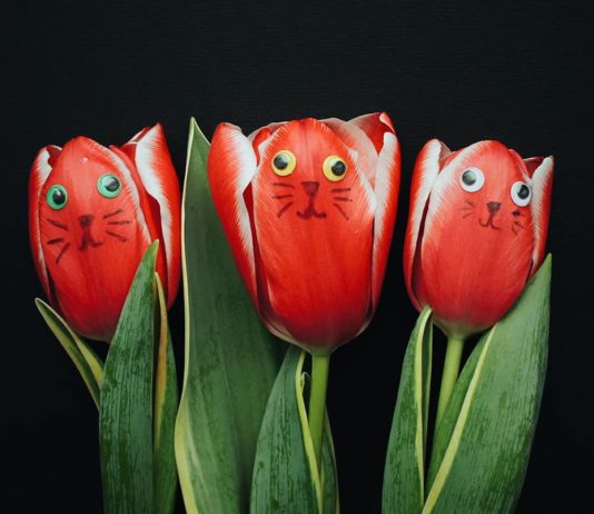 Artist Sees “Something Else” In Everyday Objects