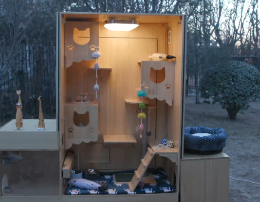 Computer Engineer Builds World’s First AI Cat Shelter For Stray Cats