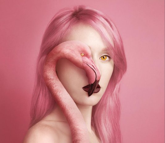 Artist Combines Features of Humans and Animals in Stunning Photos