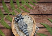 Artist Makes Jewelry Inspired By Nature And Fantasy World