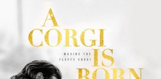 Maxine the Fluffy Corgi Gets Photoshopped Into Blockbuster Posters