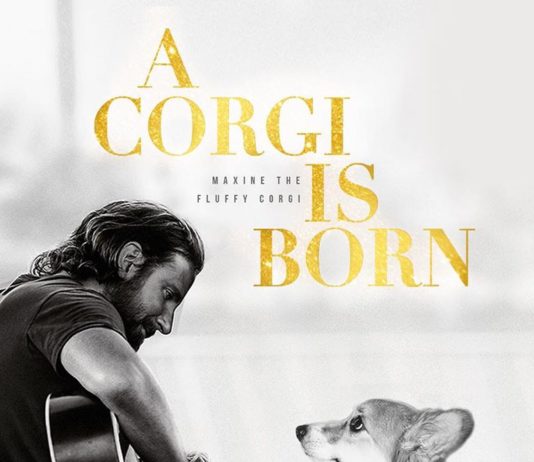 Maxine the Fluffy Corgi Gets Photoshopped Into Blockbuster Posters