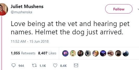 Hilarious Names People Gave to Their Pets