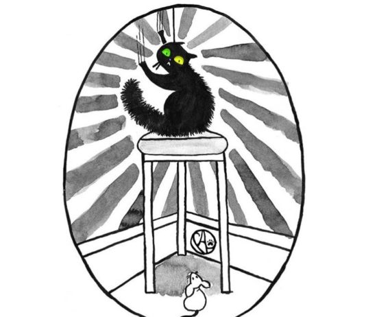 Artist Illustrates Life With Boyfriends, 3 Cats and a Dog