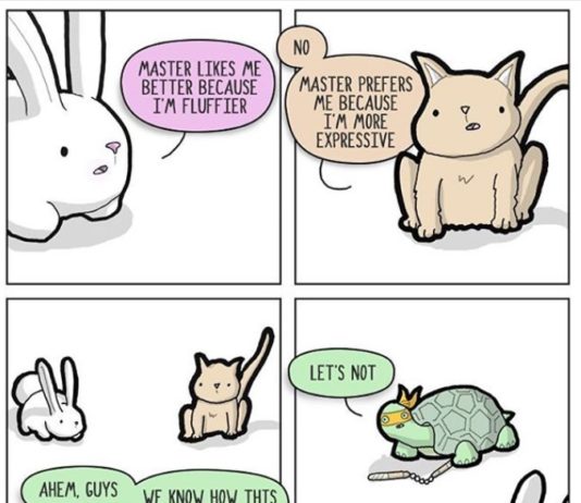 “Things In Squares” is a Hilarious Comics You Need to Follow