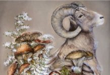 Abstract Illustrations Show Flowers Bloom From Human and Animal Bodies