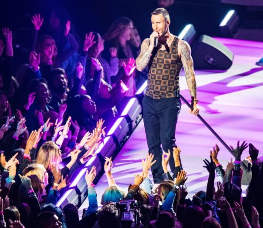 Adam Levine’s Shirt at the Super Bowl Looked Like Home Items