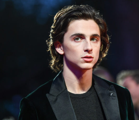 Hilarious Tweets of a Passenger Sitting Next to Timothée Chalamet