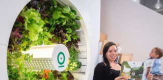Indoor Garden Produces Up to 90 Fruits and Veggies Simultaneously