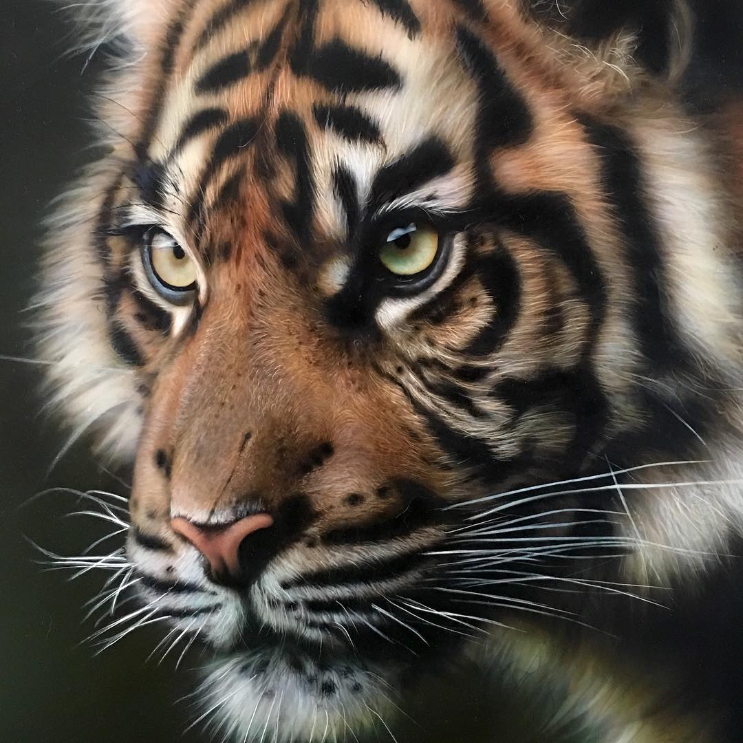 Artist Creates Life Like Animal Portraits And You Can Almost Feel The 