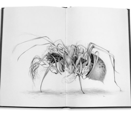 These Illustrations Will Transport You into a Fairytale