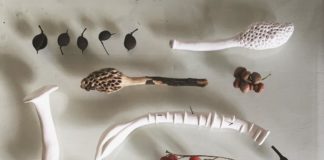 These Porcelain Sculptures Blend into the Australian Bushland