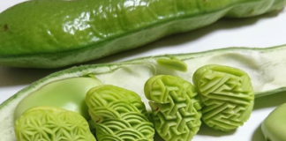 Japanese Artist Turns Fruits and Vegetables into Pieces of Art