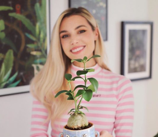 These Quirky Ceramics by Former YouTube Star Will Brighten Up Your Day