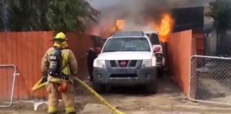 Man Saves His Dog From Fire to