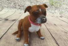 Crafter Incorporates Pet Hair Into Her Needle Felting Artwork