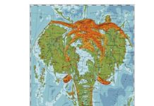 Artist Creates Fictional Maps Inspired by the Natural World