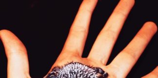 Paraplegic Artist Transforms Her Body Using Paint