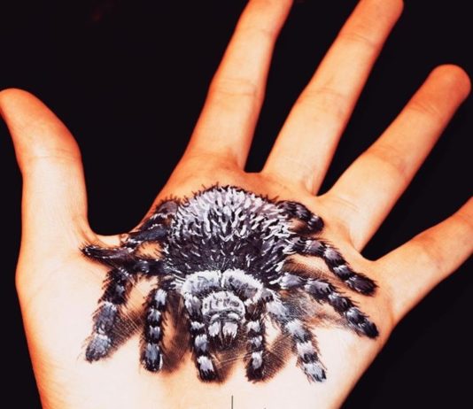 Paraplegic Artist Transforms Her Body Using Paint