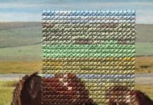 Thanks to Embroidery, These Vintage Postcards Became Beautiful Artwork