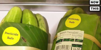 Residents of Thailand Discover a Sustainable Way to Pack Food