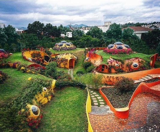 Organic Architecture Perfectly Integrates Into Its Surroundings