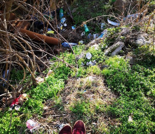 Environmentalists Illustrate How Products Turn Into Waste