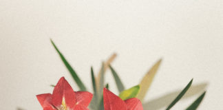 3D Artist Experiments with Nature with Stunning Results