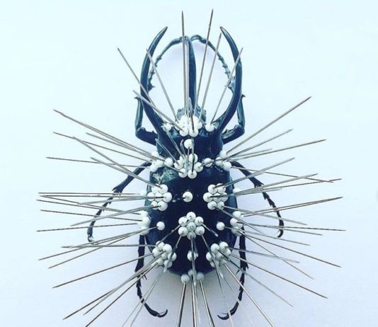 Artist Gives Insects the Defense Mechanisms They Need