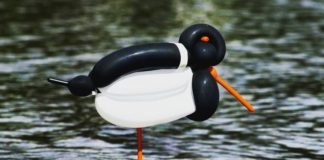 Artist Makes Bird-sculptures Out of Balloons