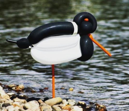 Artist Makes Bird-sculptures Out of Balloons