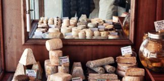 TedEd Channel Posts a Brief History of Cheese